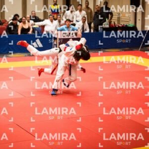 PANAMERICANO DE JIU-JITSU - JIUJITSU-25.jpg