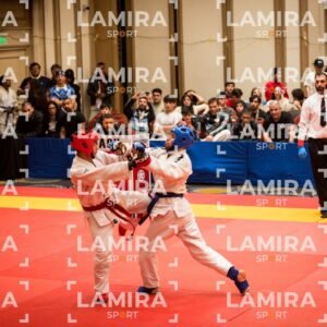 PANAMERICANO DE JIU-JITSU - JIUJITSU-253.jpg