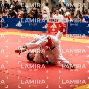 PANAMERICANO DE JIU-JITSU - JIUJITSU-26-1.jpg