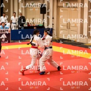 PANAMERICANO DE JIU-JITSU - JIUJITSU-26.jpg