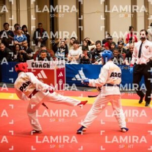 PANAMERICANO DE JIU-JITSU - JIUJITSU-262.jpg
