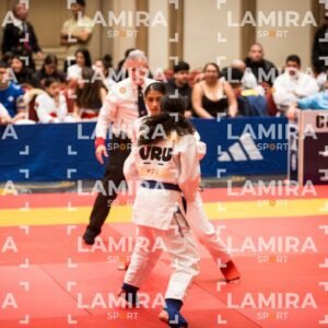 PANAMERICANO DE JIU-JITSU - JIUJITSU-27.jpg