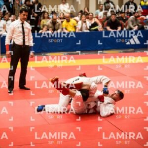 PANAMERICANO DE JIU-JITSU - JIUJITSU-288.jpg