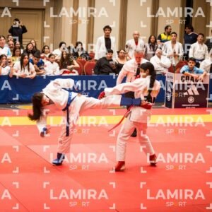 PANAMERICANO DE JIU-JITSU - JIUJITSU-291.jpg