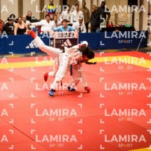 PANAMERICANO DE JIU-JITSU - JIUJITSU-302.jpg