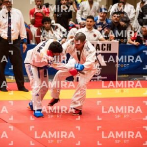 PANAMERICANO DE JIU-JITSU - JIUJITSU-333.jpg