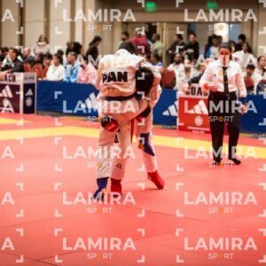 PANAMERICANO DE JIU-JITSU - JIUJITSU-350.jpg