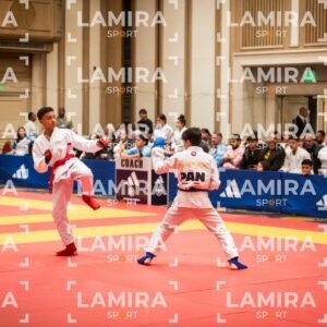 PANAMERICANO DE JIU-JITSU - JIUJITSU-36.jpg