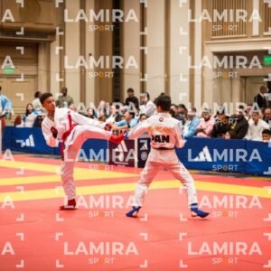 PANAMERICANO DE JIU-JITSU - JIUJITSU-37.jpg
