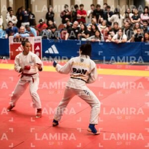 PANAMERICANO DE JIU-JITSU - JIUJITSU-38-1.jpg