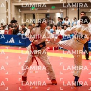 PANAMERICANO DE JIU-JITSU - JIUJITSU-40.jpg