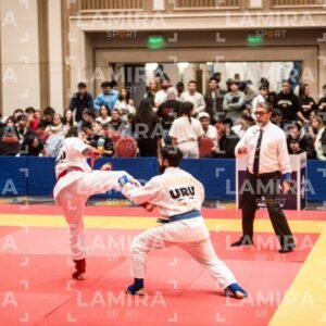 PANAMERICANO DE JIU-JITSU - JIUJITSU-48-1.jpg