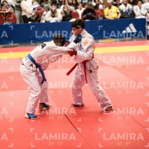 PANAMERICANO DE JIU-JITSU - JIUJITSU-5-1.jpg
