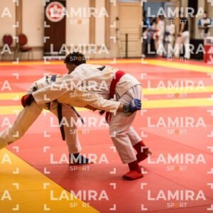 PANAMERICANO DE JIU-JITSU - JIUJITSU-513.jpg
