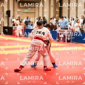 PANAMERICANO DE JIU-JITSU - JIUJITSU-519.jpg