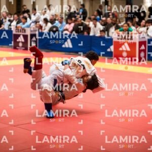PANAMERICANO DE JIU-JITSU - JIUJITSU-521.jpg