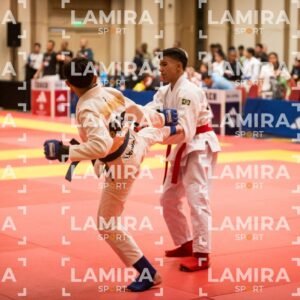 PANAMERICANO DE JIU-JITSU - JIUJITSU-527.jpg