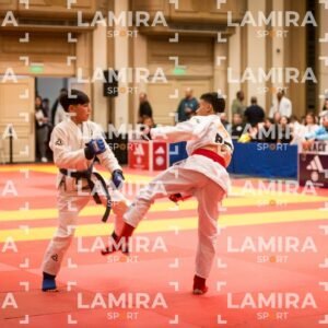 PANAMERICANO DE JIU-JITSU - JIUJITSU-531.jpg