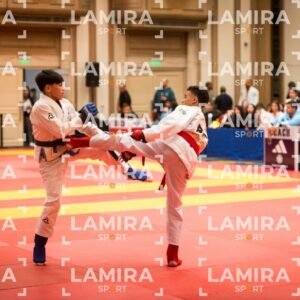 PANAMERICANO DE JIU-JITSU - JIUJITSU-532.jpg