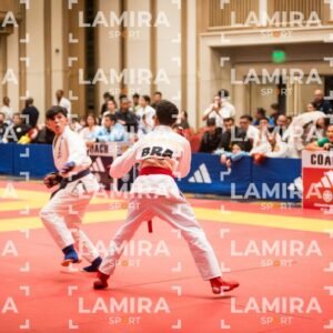 PANAMERICANO DE JIU-JITSU - JIUJITSU-540.jpg