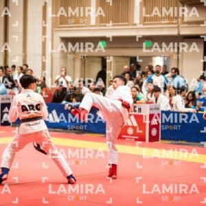 PANAMERICANO DE JIU-JITSU - JIUJITSU-541.jpg