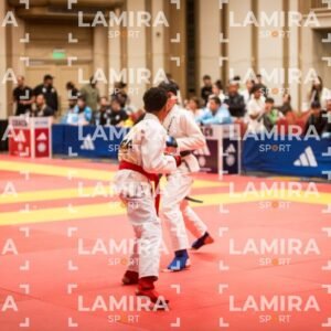 PANAMERICANO DE JIU-JITSU - JIUJITSU-544.jpg