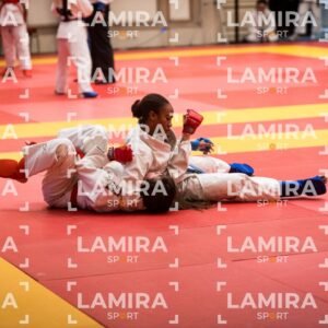 PANAMERICANO DE JIU-JITSU - JIUJITSU-548.jpg