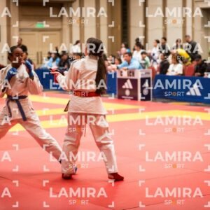 PANAMERICANO DE JIU-JITSU - JIUJITSU-567.jpg