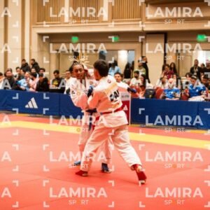 PANAMERICANO DE JIU-JITSU - JIUJITSU-6.jpg