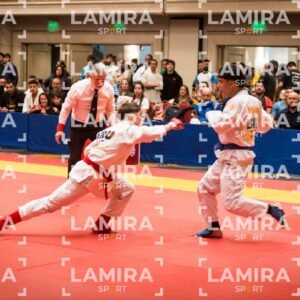 PANAMERICANO DE JIU-JITSU - JIUJITSU-60.jpg