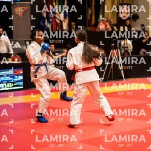 PANAMERICANO DE JIU-JITSU - JIUJITSU-600.jpg