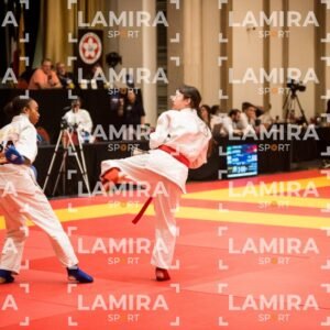 PANAMERICANO DE JIU-JITSU - JIUJITSU-602.jpg