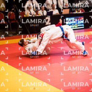 PANAMERICANO DE JIU-JITSU - JIUJITSU-605.jpg