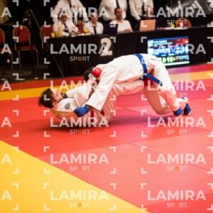 PANAMERICANO DE JIU-JITSU - JIUJITSU-606.jpg