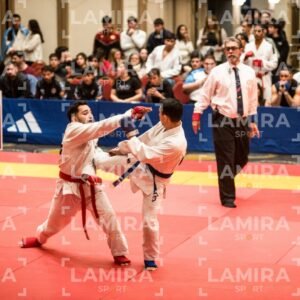 PANAMERICANO DE JIU-JITSU - JIUJITSU-62.jpg