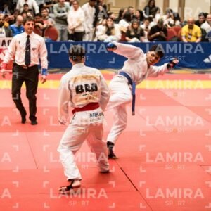 PANAMERICANO DE JIU-JITSU - JIUJITSU-7-2.jpg
