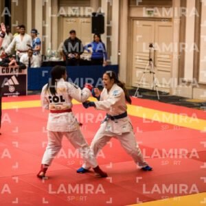 PANAMERICANO DE JIU-JITSU - JIUJITSU-82.jpg