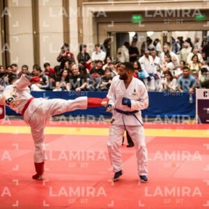 PANAMERICANO DE JIU-JITSU - JIUJITSU-87-1.jpg
