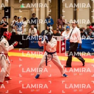 PANAMERICANO DE JIU-JITSU - JIUJITSU-91.jpg