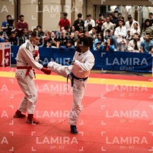 PANAMERICANO DE JIU-JITSU - JIUJITSU-95-1.jpg