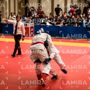 PANAMERICANO DE JIU-JITSU - JIUJITSU-97-1.jpg