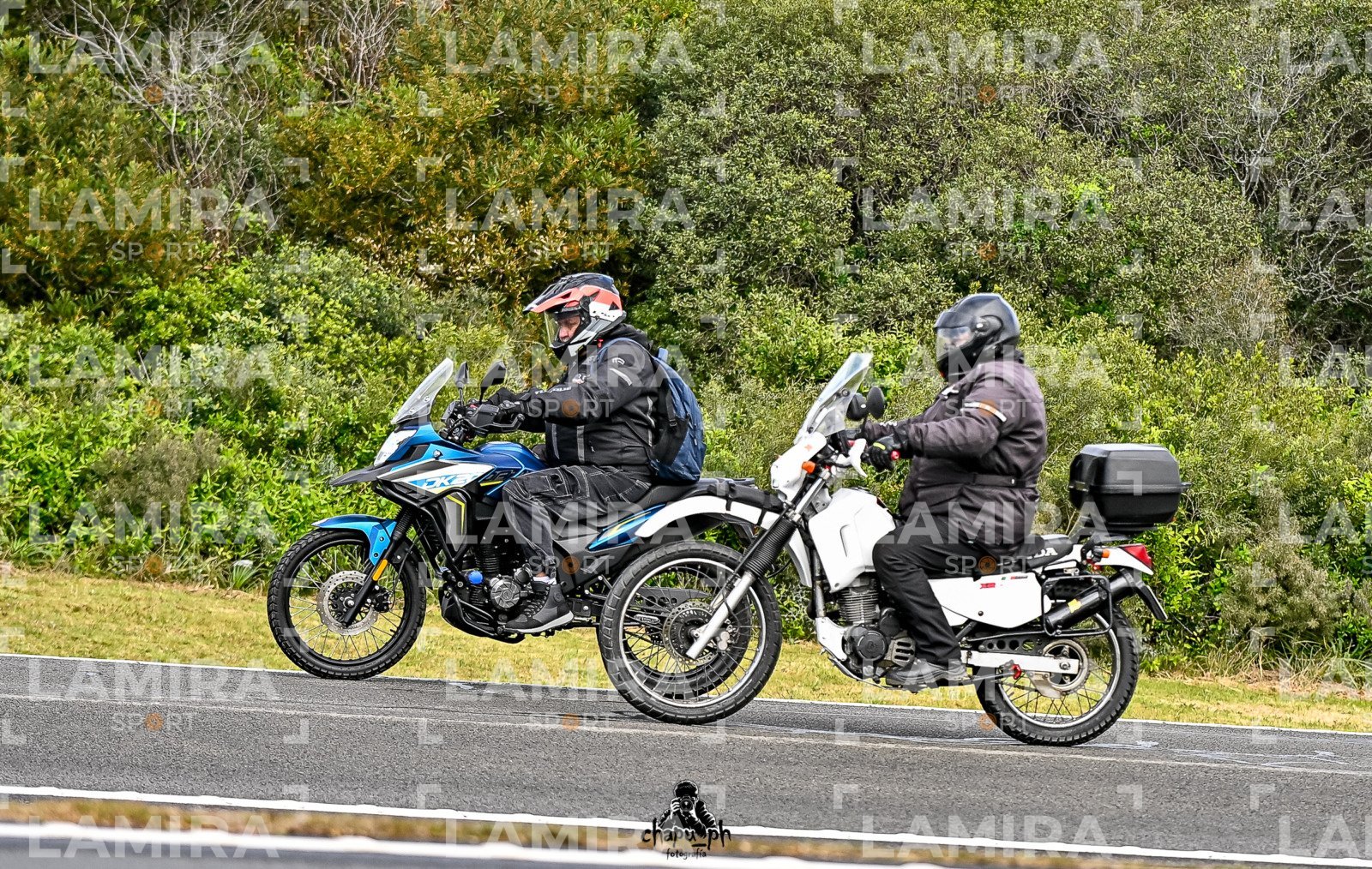 - BCD4245.jpg