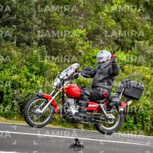 - BCD4261.jpg