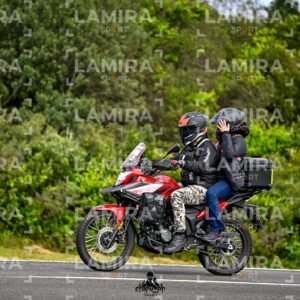 - BCD4302.jpg