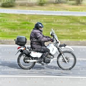 - BCD5198.jpg