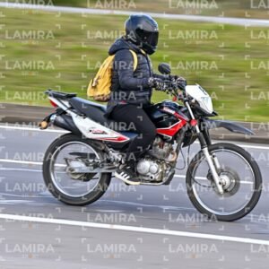 - BCD5538.jpg