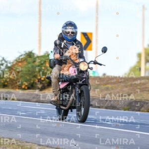 villa argentina barridos - 000_1983.jpg