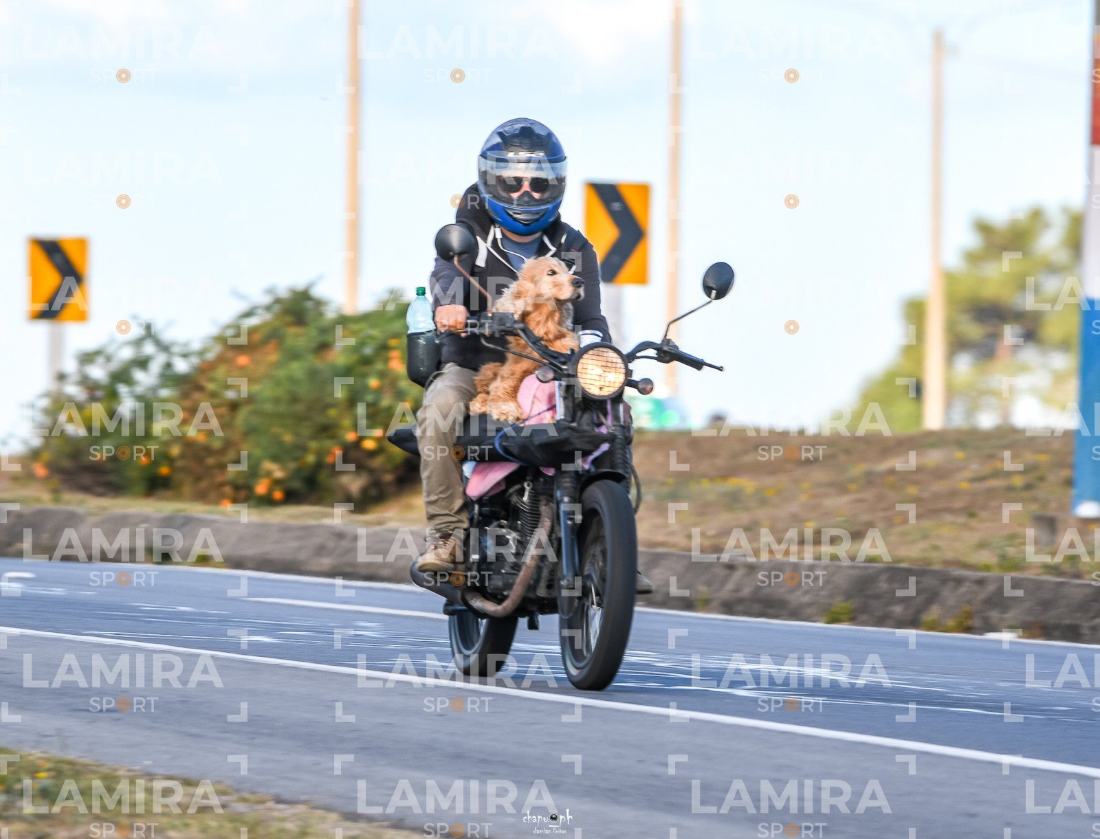 villa argentina barridos - 000_1983.jpg